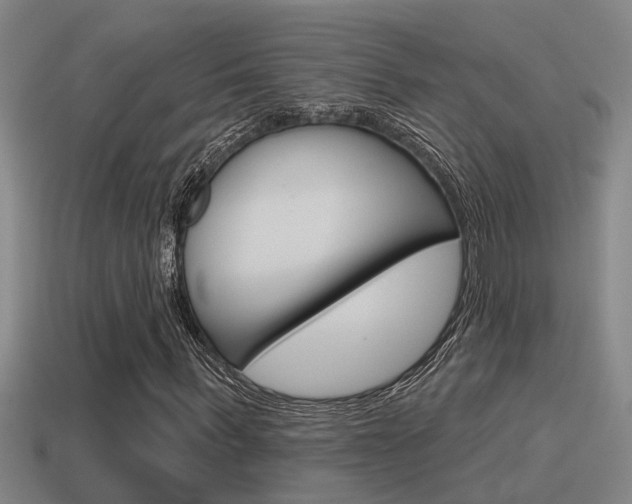 X0000115490963200911060958