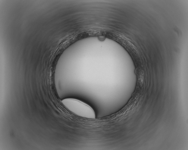 X0000115490964200911060958