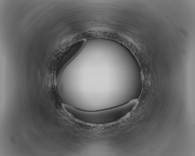 X0000115490965200911060958