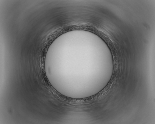 X0000115490966200911060958