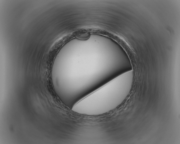 X0000115490967200911060958