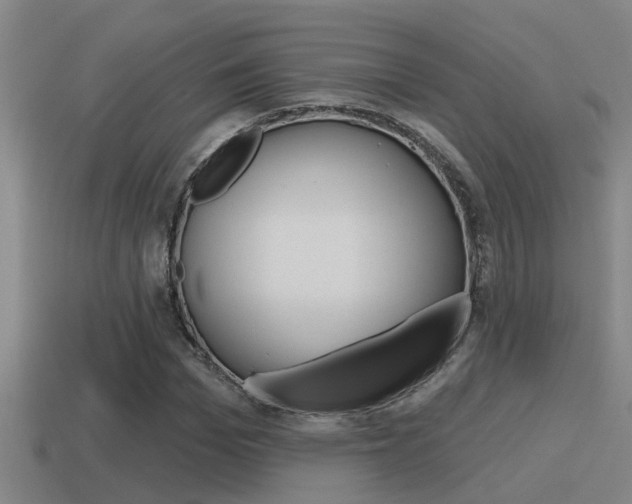 X0000115490969200911060958