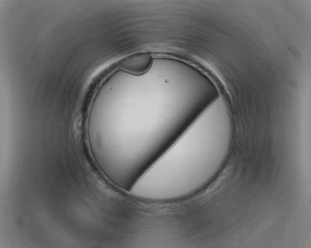 X0000115490971200911060958