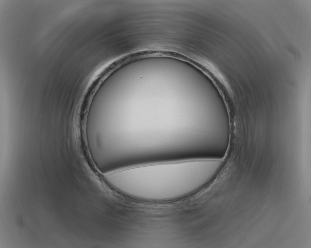 X0000115490972200911060958