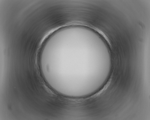 X0000115490973200911060958