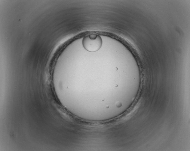 X0000115490974200911060958