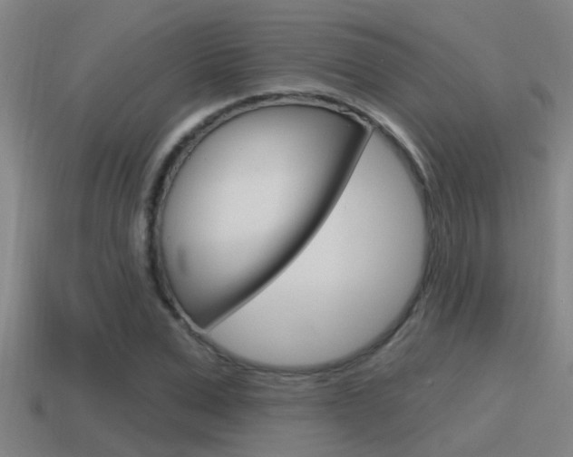 X0000115490975200911060958
