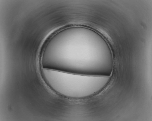 X0000115490976200911060958