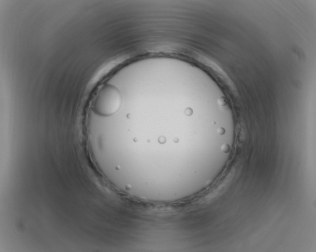 X0000115490978200911060958
