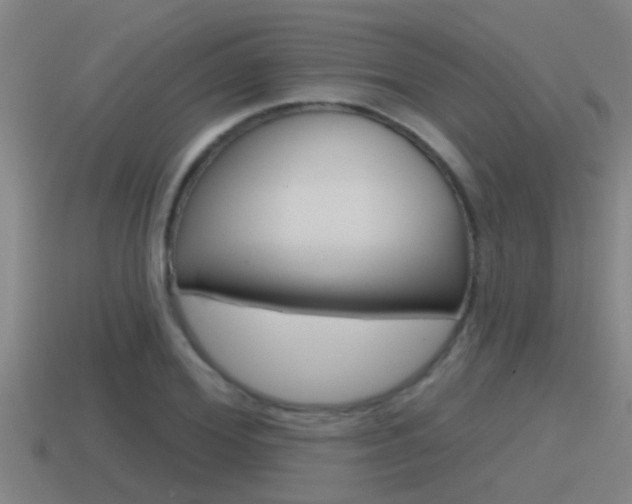 X0000115490980200911060958