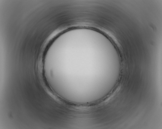 X0000115490982200911060958