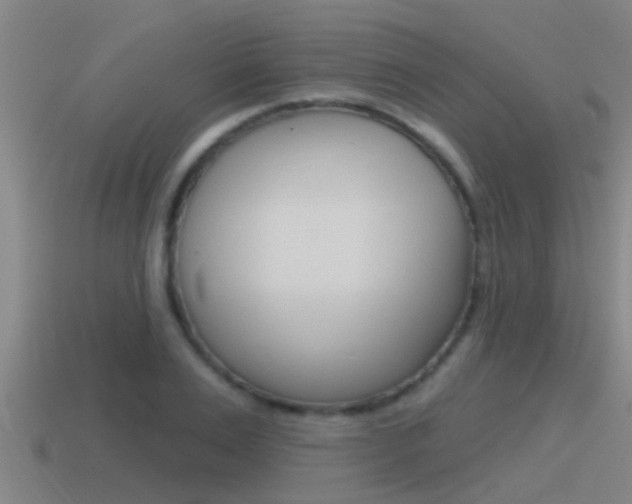 X0000115490983200911060958