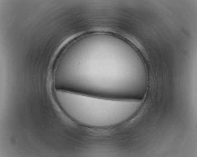 X0000115490984200911060958