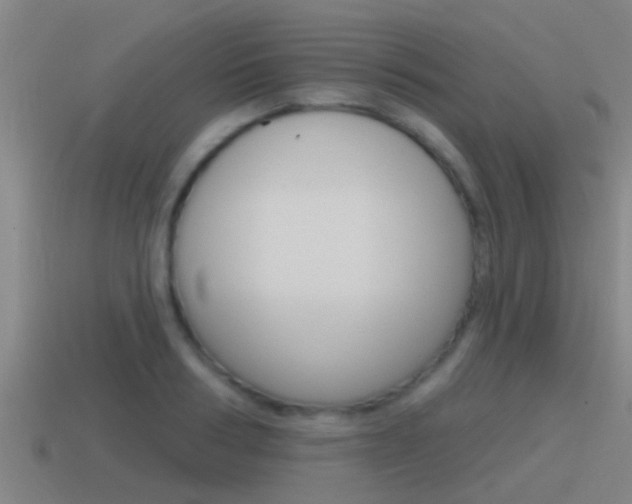 X0000115490986200911060958