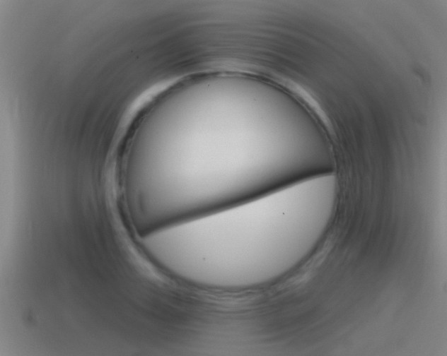 X0000115490987200911060958