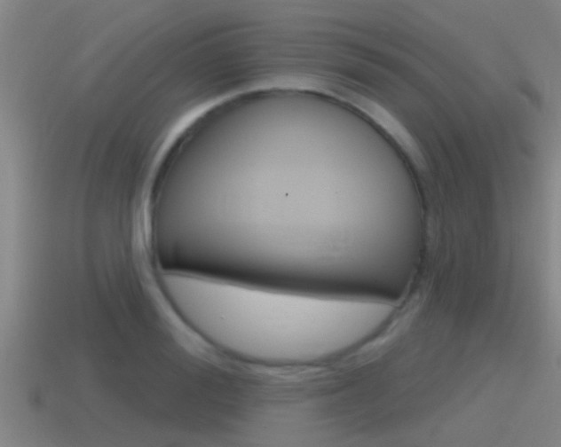 X0000115490988200911060958