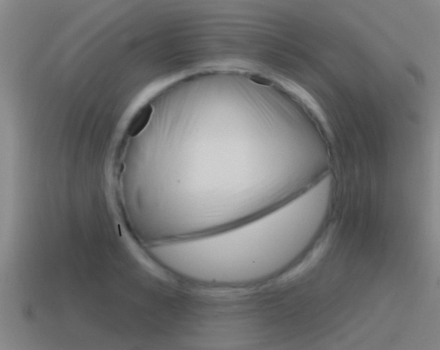 X0000115490989200911060958