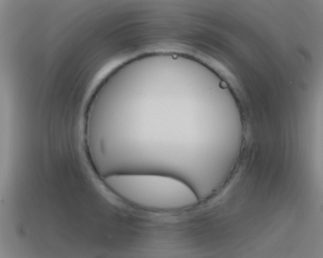 X0000115490990200911060958