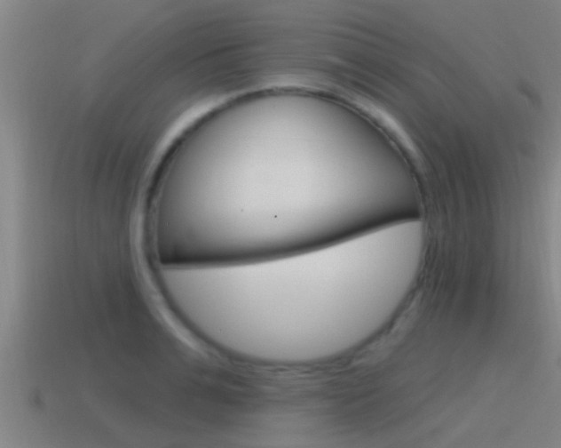 X0000115490991200911060958