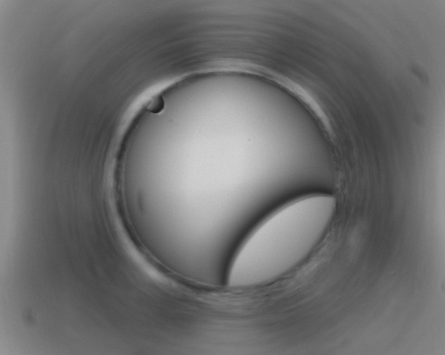 X0000115490995200911060958
