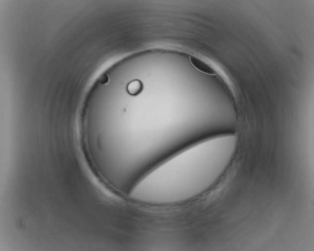 X0000115490999200911060958