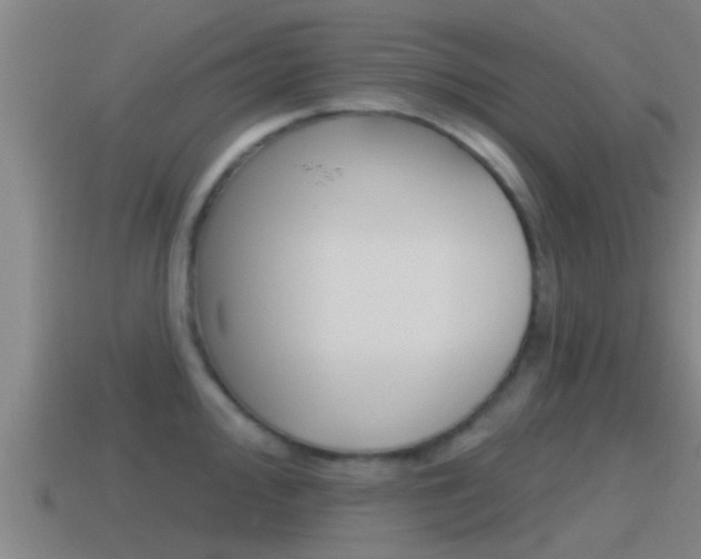 X0000115491000200911060958