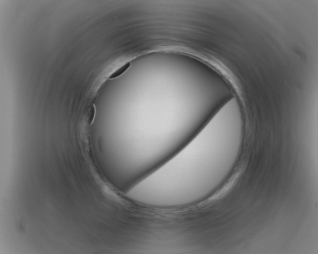 X0000115491001200911060958