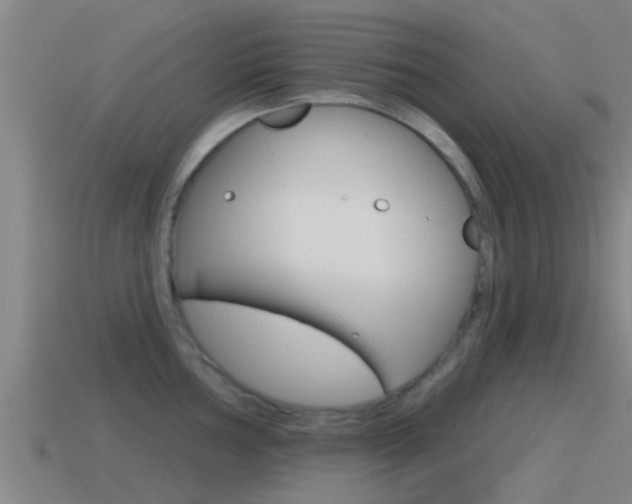 X0000115491002200911060958