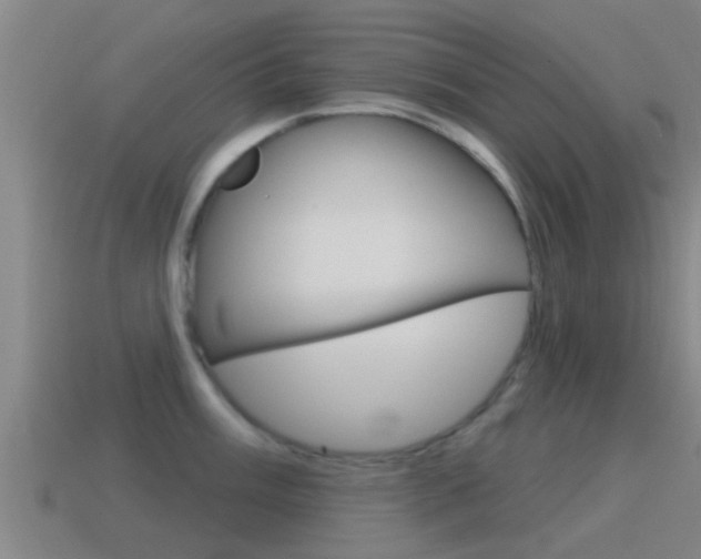 X0000115491003200911060958