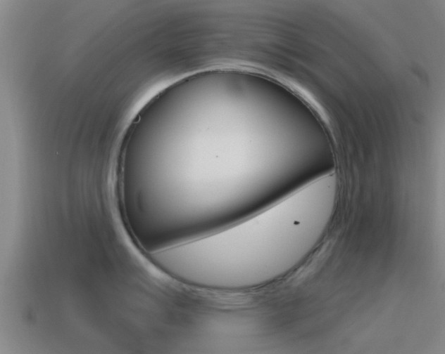 X0000115491007200911060958
