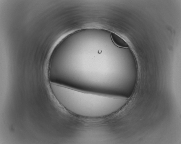 X0000115491008200911060958