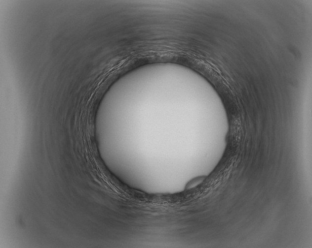 X0000115491009200911060957