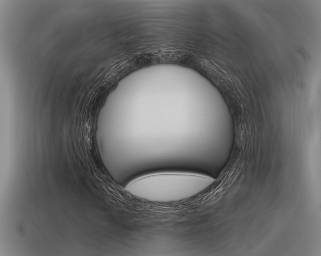 X0000115491010200911060957