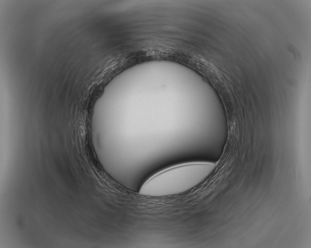 X0000115491012200911060957