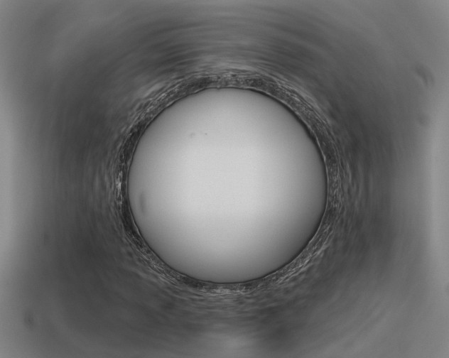 X0000115491013200911060957