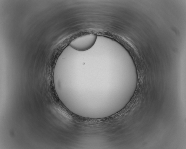 X0000115491015200911060957