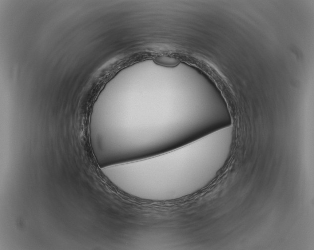 X0000115491016200911060957