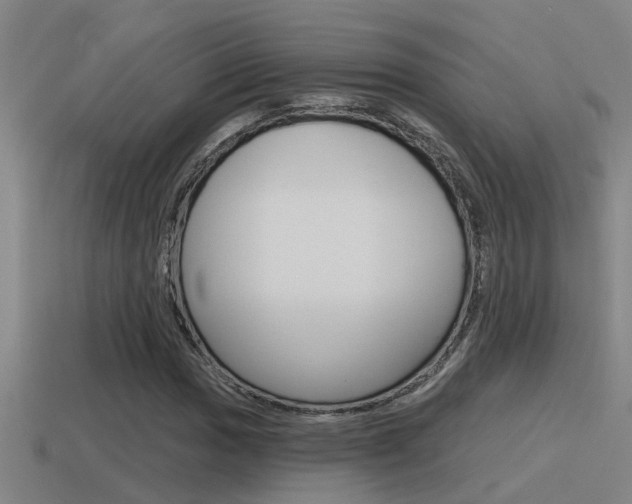 X0000115491017200911060957