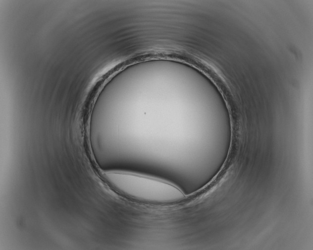 X0000115491018200911060957