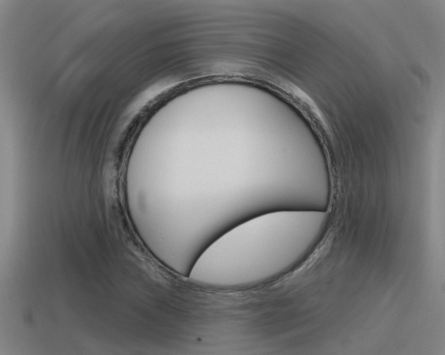 X0000115491019200911060957