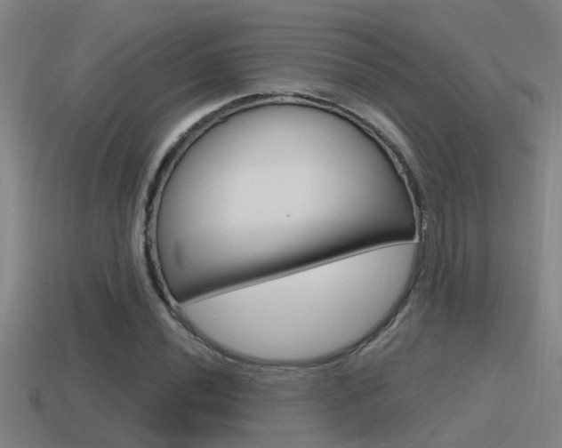 X0000115491020200911060957