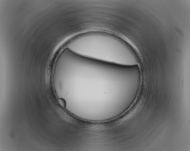 X0000115491021200911060957