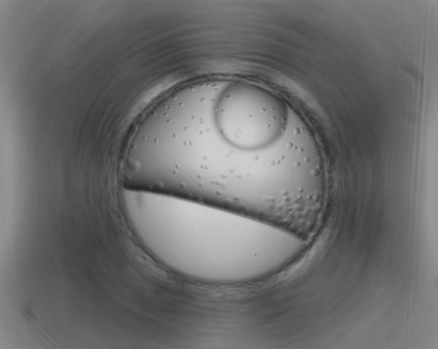 X0000115491025200911060957