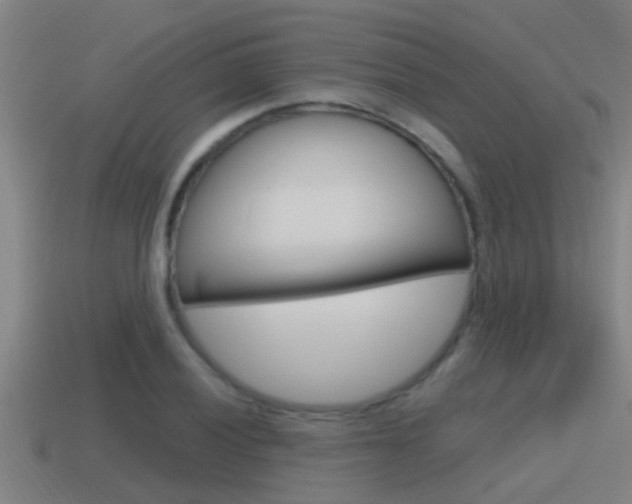 X0000115491028200911060957