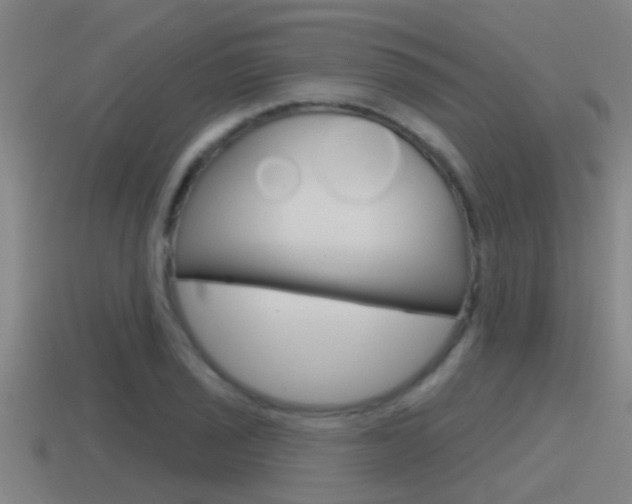 X0000115491029200911060957