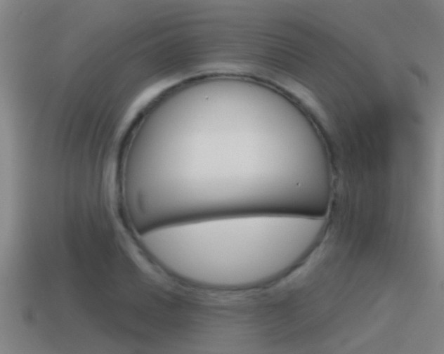 X0000115491030200911060957