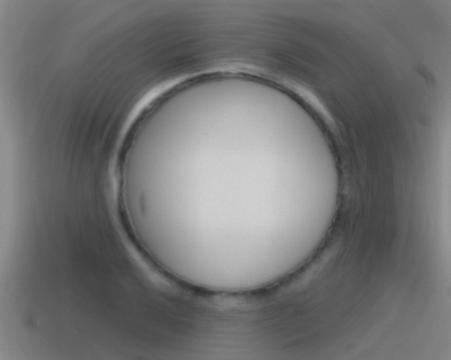 X0000115491032200911060957