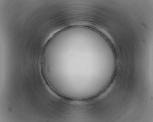 X0000115491033200911060957
