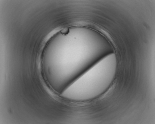 X0000115491034200911060957