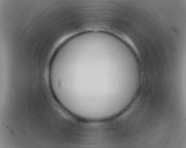 X0000115491035200911060957